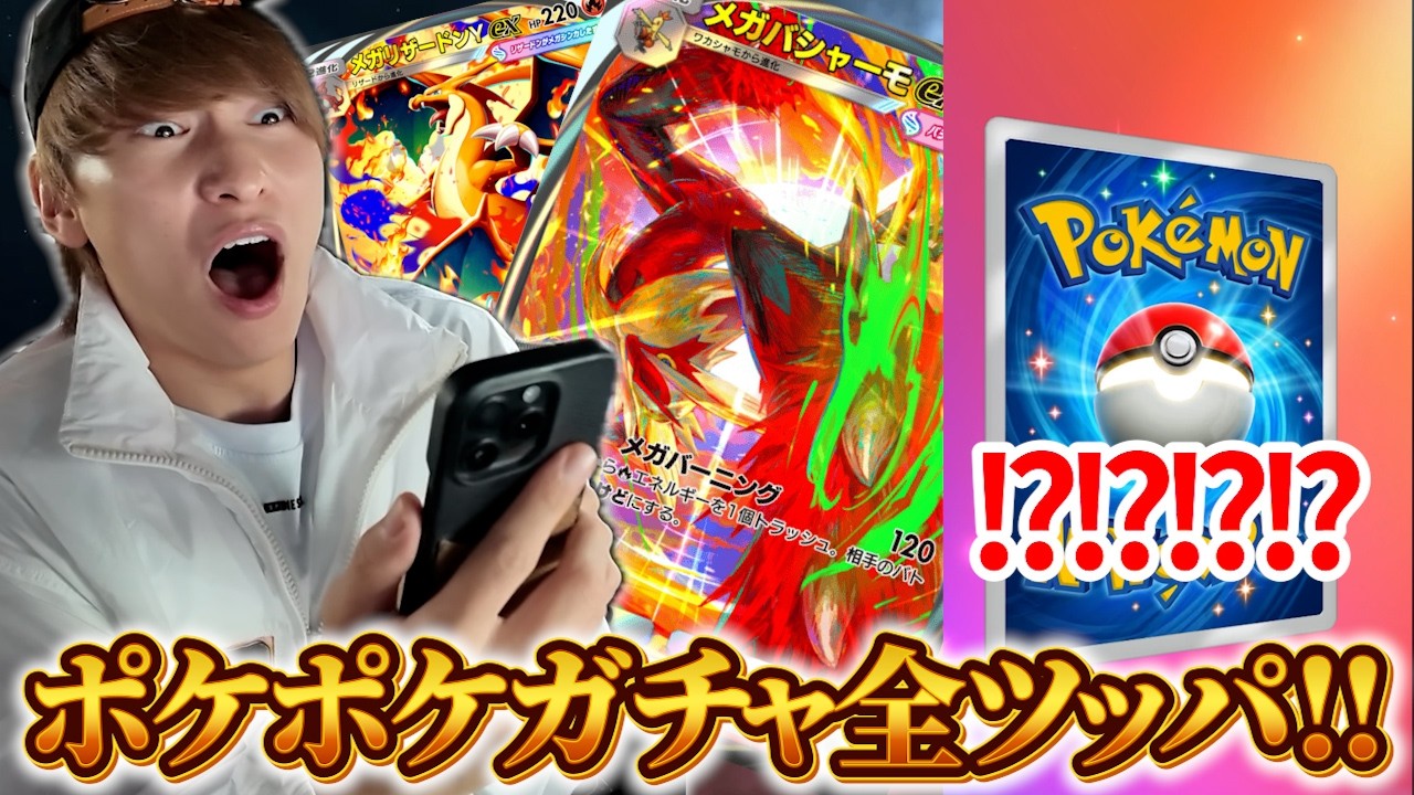 The Pokemon Prince who aims to collect all the PokePoke cards