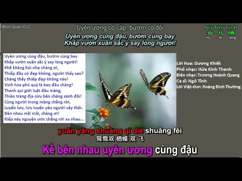 Vietsub: Tình Nhi Nữ [女儿情_Ngô Tĩnh, song ngữ + thơ + Vietsub]