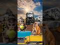 Bandar Ne Truck Roka, Train Gusse Mein Aa Gayi!#train#viral#shorts#ytshorts