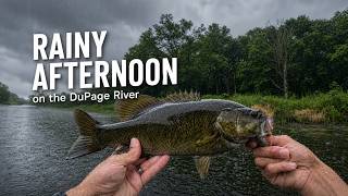 Wade Fishing for Smallmouth Bass in the Rain! (Topwater Whopper Popper) | DuPage River