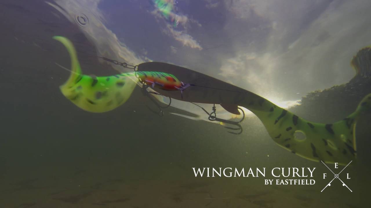 Eastfield Wingman Curly Swimming action YouTube