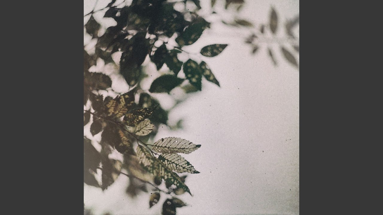 Midday adlı videoyu YouTube'da izle Midday adlı videoyu YouTube'da izle