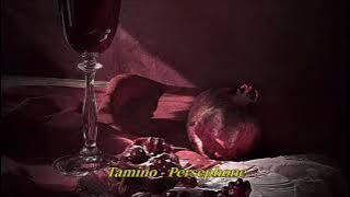 ❥ Tamino - Persephone (팝송 가사 추천/한글/해석/자막)
