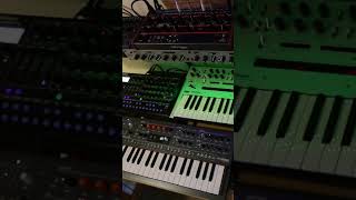 MIND BODY AND SOUL #dawlessjam #rolandsh4d #minifreak #electronicmusic #synthesizer #rolandp6 #edm