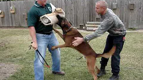 USK9 UNLIMITED (ROGER ABSHIRE).  KAPLAN, LA