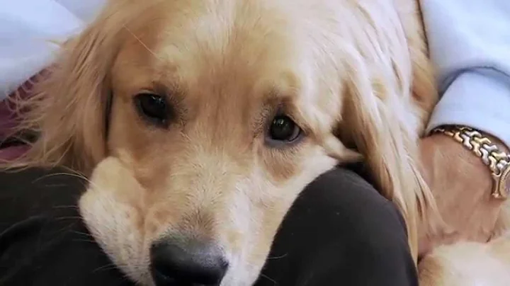 Sharp HealthCare :30 / "Milagra"