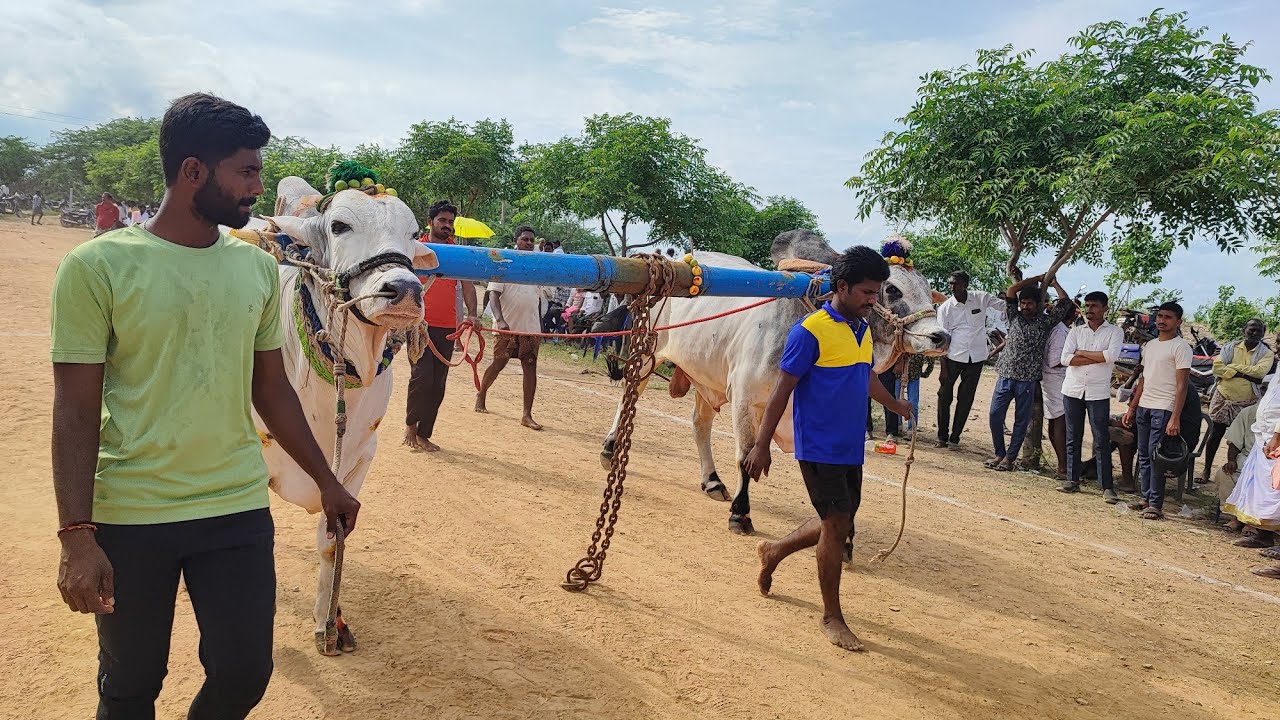 కొత్తపల్లి సీనియర్స్ విభాగంలో 11వ జత తిండి నక్షత్రరెడ్డి,బోడిచెర్ల, ప్రకాశం జిల్లా...*💥