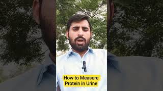 How To Measure Protein In Urinespot Albumin To Creatinine Ratio,Spot Protein To Creatinine Ratio