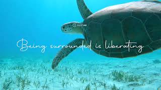 Dream Yacht Sales and Ownership and Bali Catamarans Australia