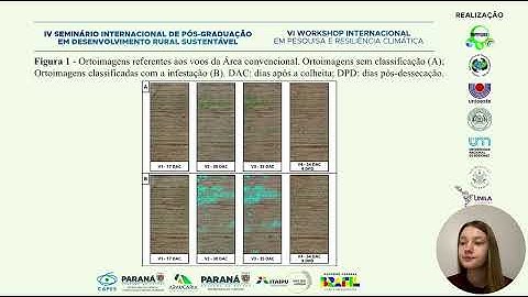 IVSIDRS - IMAGENS MULTIESPECTRAIS E ALGORITMOS DE RECONHECIMENTO NA DETECÇÃO DE PLANTAS ESPONTÂNEAS
