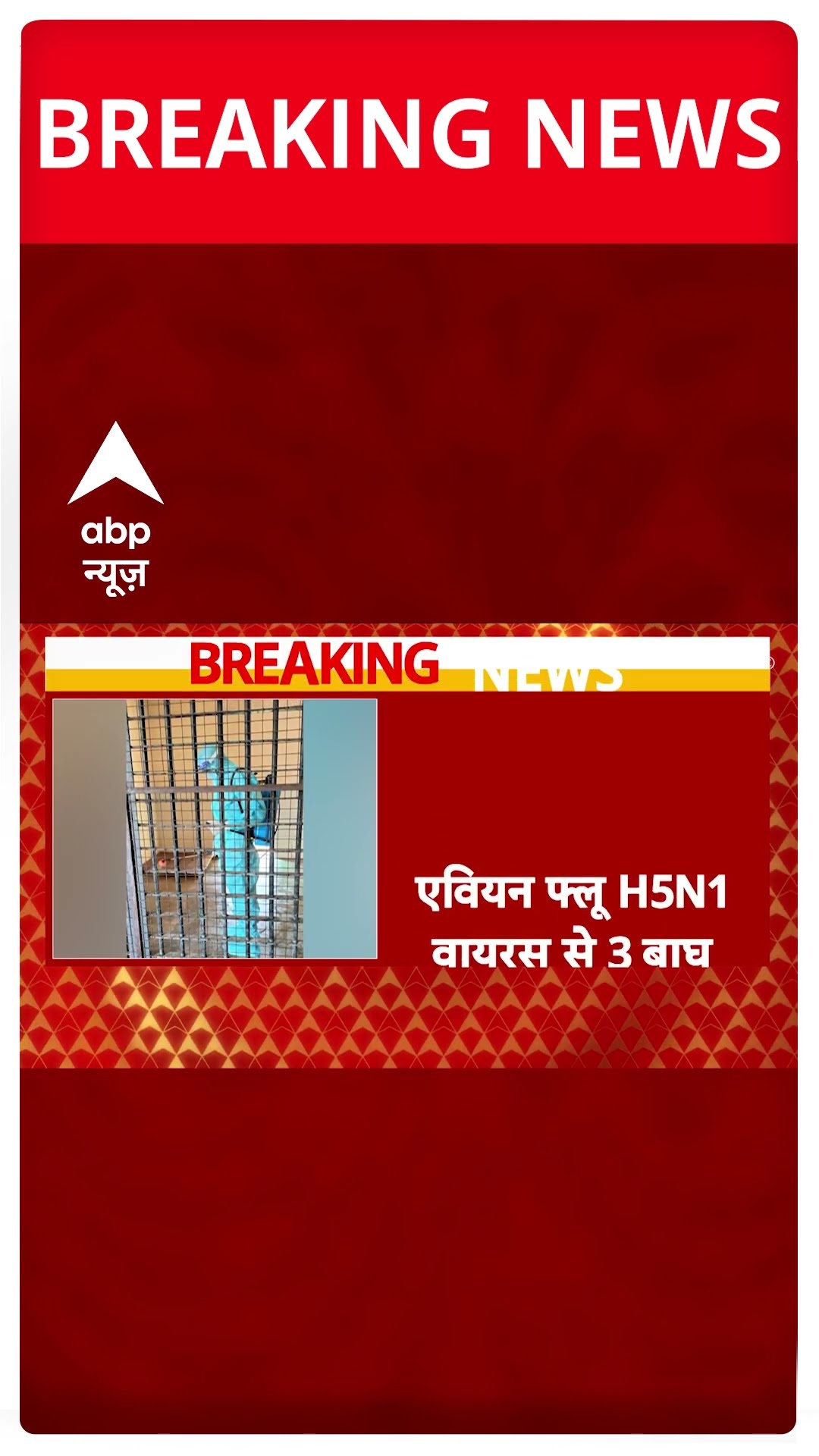 Maharashtra के चिड़ियाघरों में रेड अलर्ट, एवियन फ्लू H5N1 वायरस से 3 बाघ और 1 तेंदुए की मौत