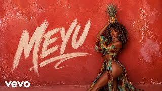 SHAGGY - MEYU (Afro House - Afro Tech ll AfroSound hub)