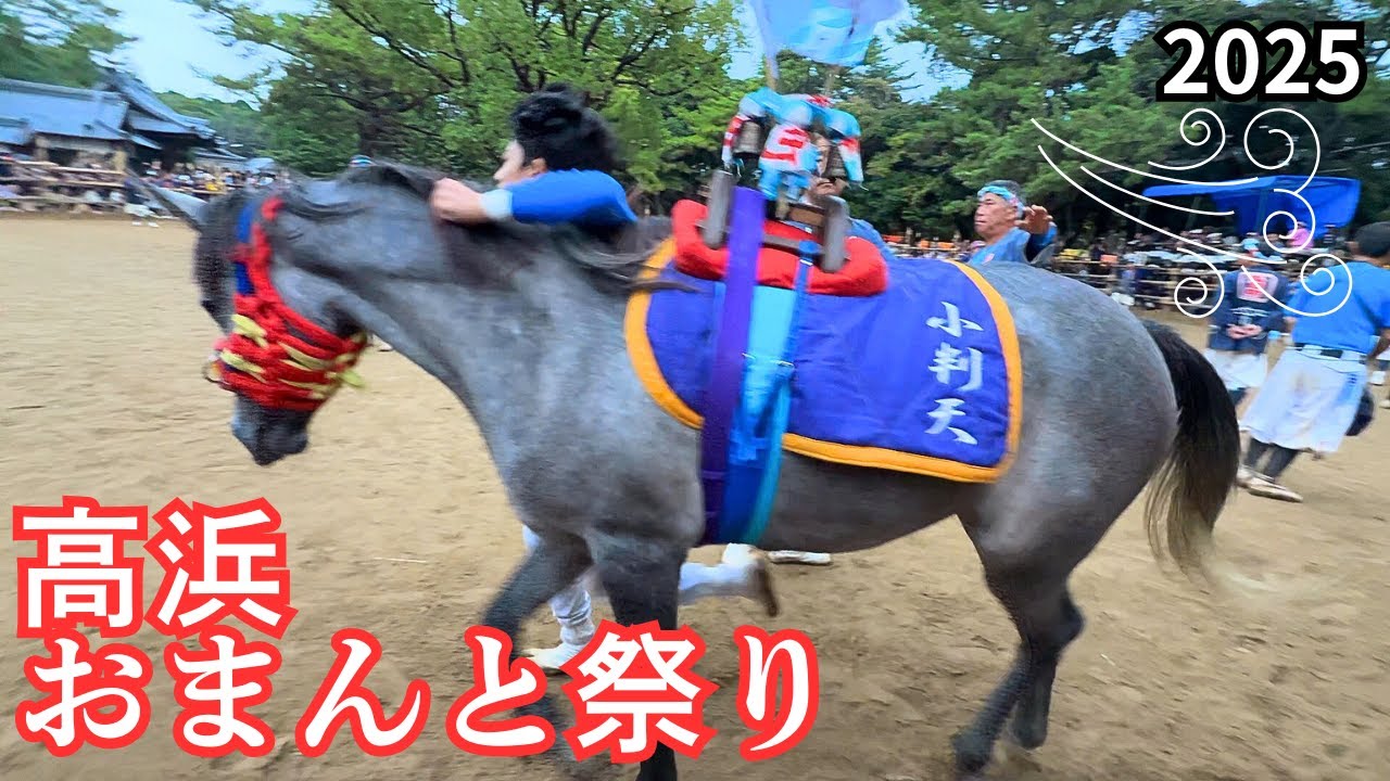 馬と人の絆が走る‼️【おまんと祭り2025】春日神社の“かけ馬”ド迫力‼️Epic Horse Run in Japan!!
