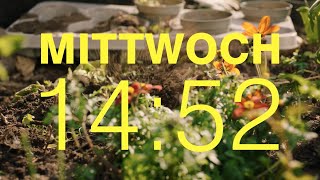 DRUCK T8: MAILIN E07 - Clip 04 