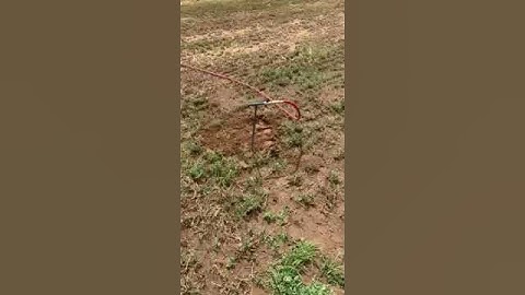 Utah Gopher Control PERC rodent control
