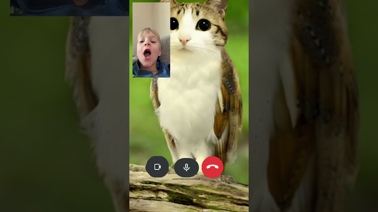 Just let me play my games