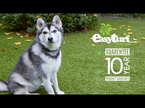 Easy Turf -