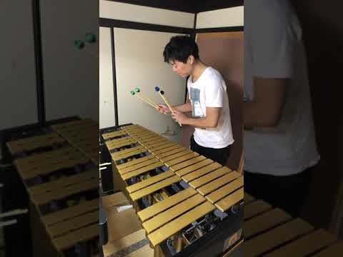 ザナルカンドにてをヴィブラフォンで弾いてみた To Zanarkand Vibraphone Shorts