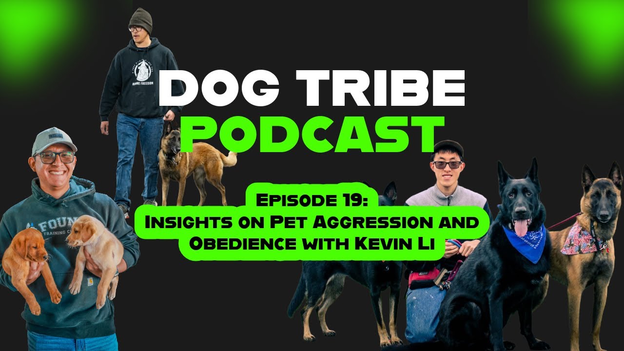 Ep. 19: Insights on Pet Aggression and Obedience with Kevin