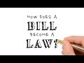 Navigating The Legislative Process From Bill To Law