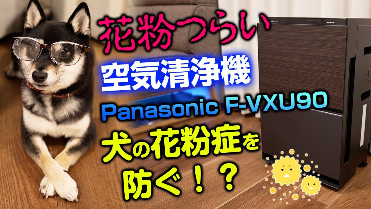 空気清浄機 犬の花粉症を防ぐ Panasonic F Vxu90 花粉症対策 柴犬 Youtube