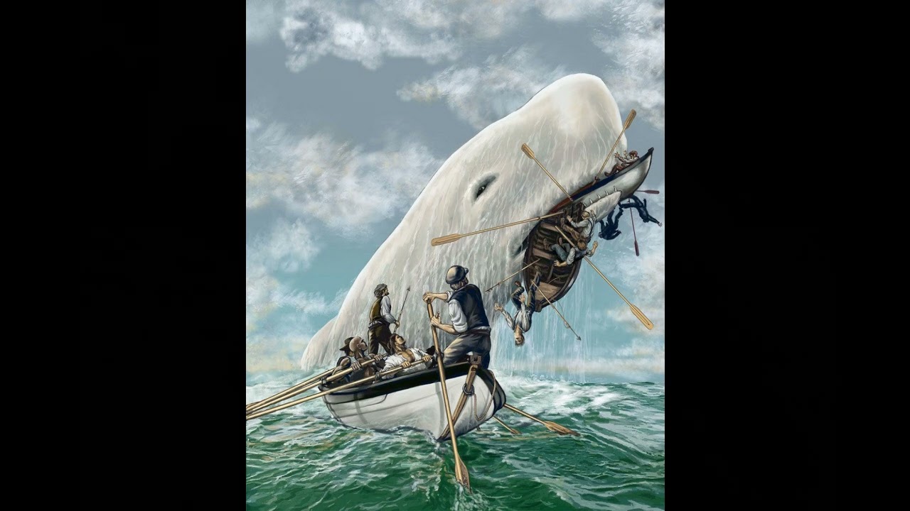 LA BIANCHEZZA DELLA BALENA