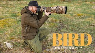 BIRD PHOTOGRAPHY in the spring || nature in the best time - camouflage, waterfowl