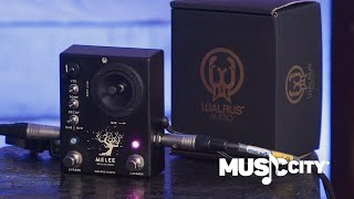 Walrus Audio Melee Pedal Black Edition Wall of Noise Demo at Music City