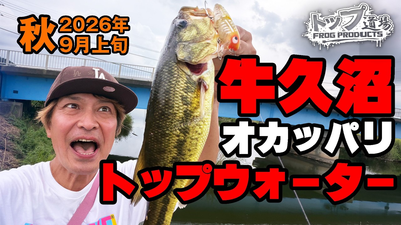 【牛久沼】オカッパリ！トップウォーターで秋バスを狙う！