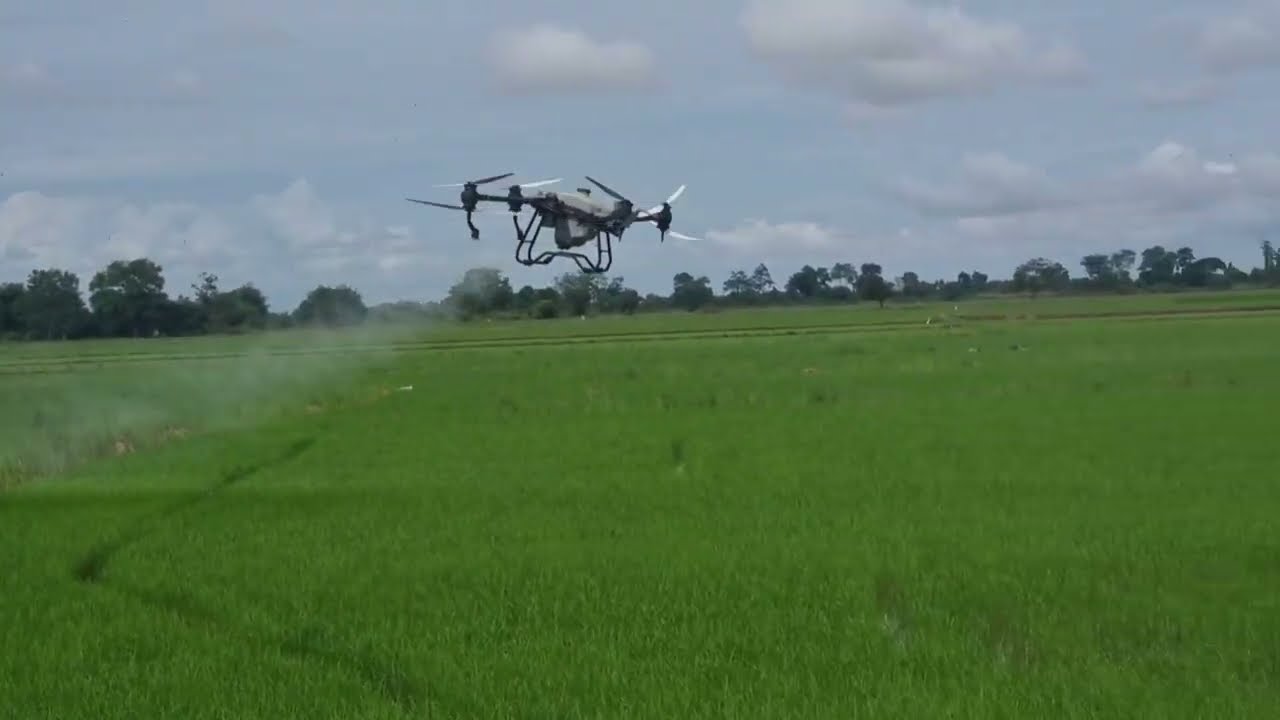 Pesticide spray - Drone Agriculture DJI T40