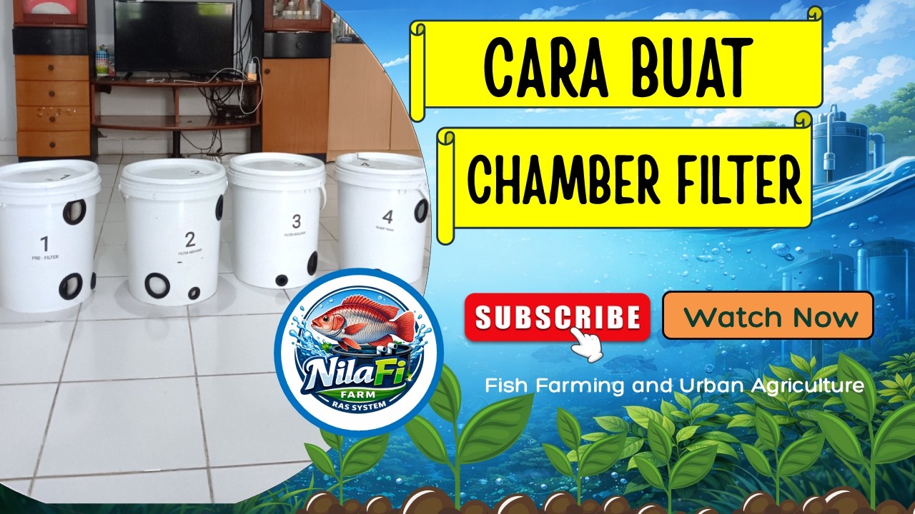 Pembuatan Set Chamber Filter Kolam Budikdamber