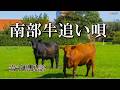 南部牛追い唄  岩手県民謡                     song-by masu2
