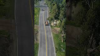 Ultra-realistic game simulation of highway accident scenarios #carcrashsimulation #shorts #viral