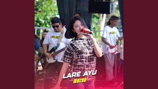 Lare Ayu