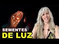 A jornada das sementes de luz  marcia martini