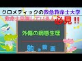 聞き取り用‼【救命士国家試験対策】YouTube超時短学習!!「外傷の病態生理」