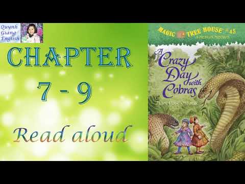Magic Tree House