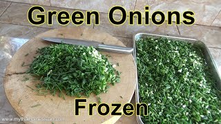 How we freeze green onions, ready for use, From harvest to cooking.
