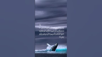 سورة الصافات | آية 139 - 144 | 🤍🩵.