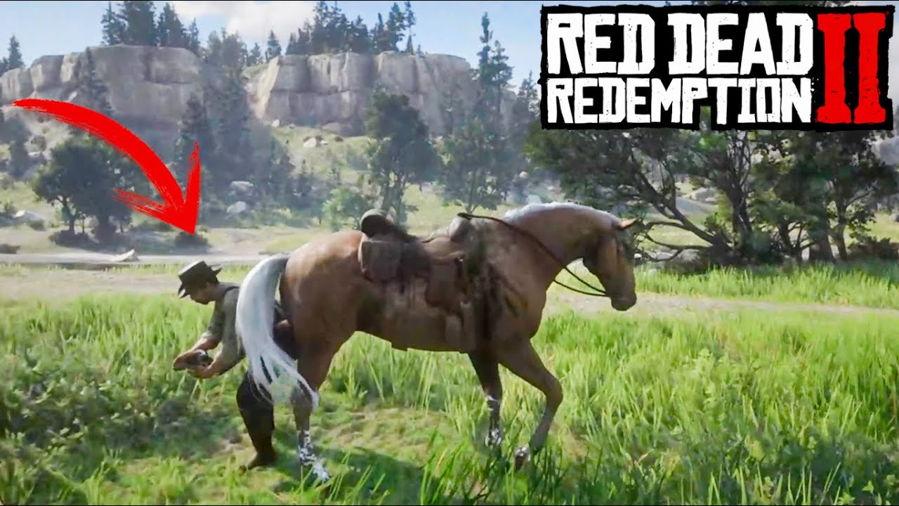 You can save this man from getting kicked by his own horse - RDR2 - YouTube