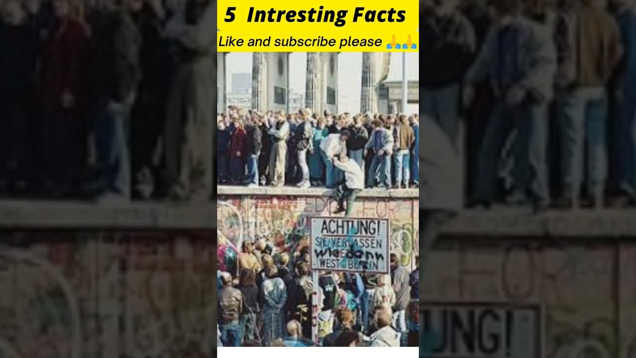 5 Intresting Facts | 