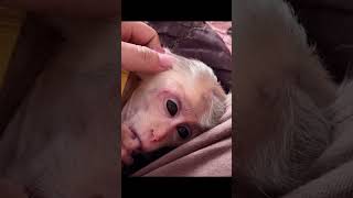 baby sucking thumb in sleep❤️❤️