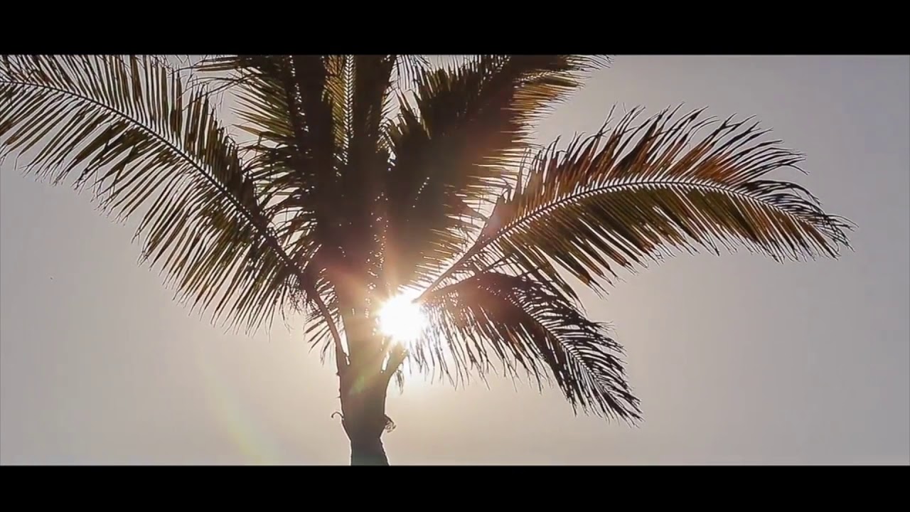 Элитная садовая мебель Kolibry Luxury Outdoor 1