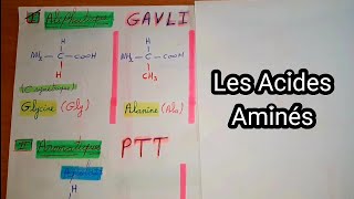 🔔 L2 Biochimie, Résumé: Les Acides Aminés Partie 1 (Astuces pour apprendre les AA + une application) screenshot 3