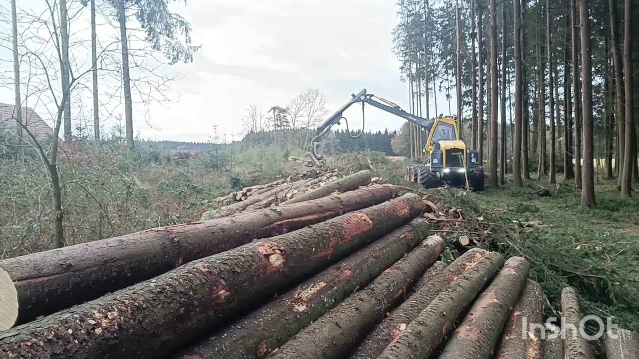 7. Februar 2026 Harvester im Einsatz #Wald