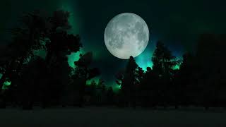 LONG PSYCHEDELIC TRIP # 9 | AURORA BOREALIS | 11:11:11 | TRIPPY VISUALS | WATCH WHILE HIGH