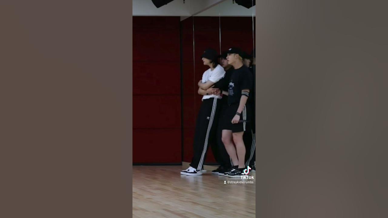 Domino dance practice 👀