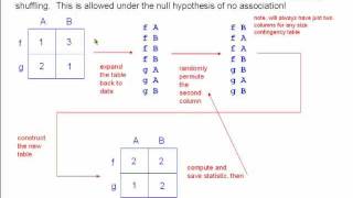 Opinionated Lessons in Statistics: #34 Permutation Tests