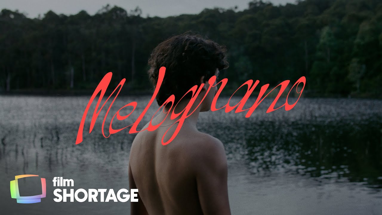 Кадр из трейлера «Melograno»
