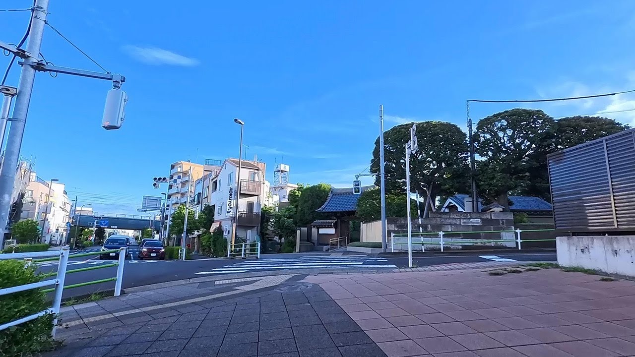 Cherry Blossom Promenade | higashi-yukigaya